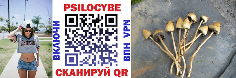 Псилоцибиновые грибы прущие грибы  Купить  Енисейск 