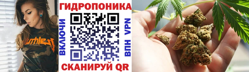 Купить где  Енисейск  Конопля MAZAR 
